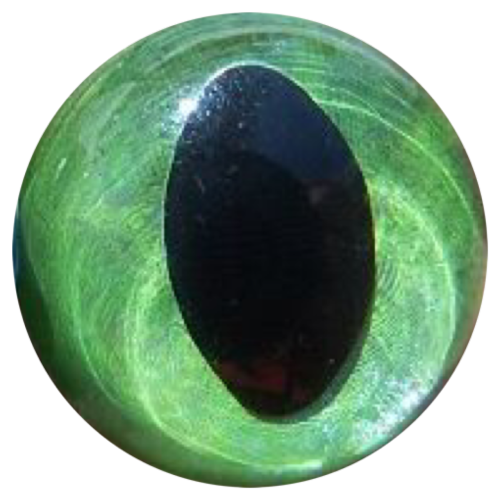 4rg - eye marbles