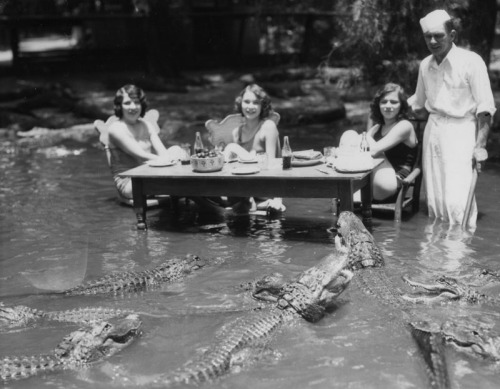 feuilletoniste - weirdvintage - Dining with alligators, circa...