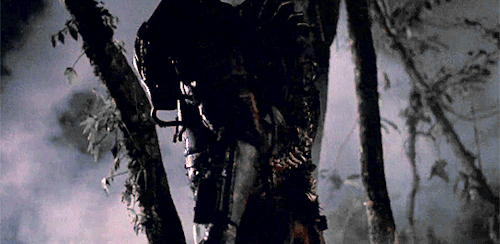Image result for Predator 1987 GIF