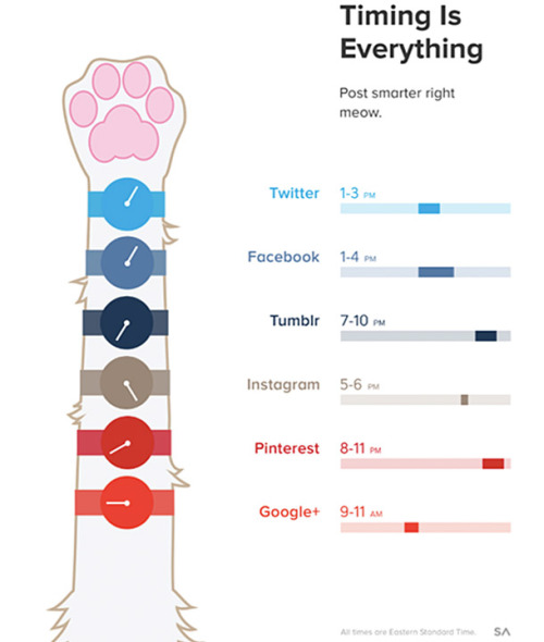 knightofbunnies:diditmarketing:Awesome infographic on ideal...
