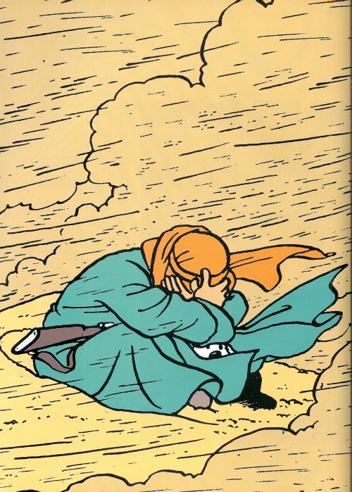 thesorrowsofgin - 9emeart - Tintin dans la tempeteHergéThe...