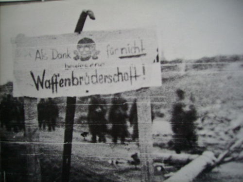 siegseuphorie - Lapland war - 1944German Soldiers thanking...