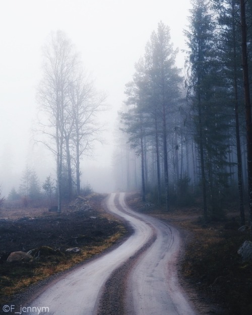 jcatchthelight - Foggy winter in Sweden.Copyright Jenny...