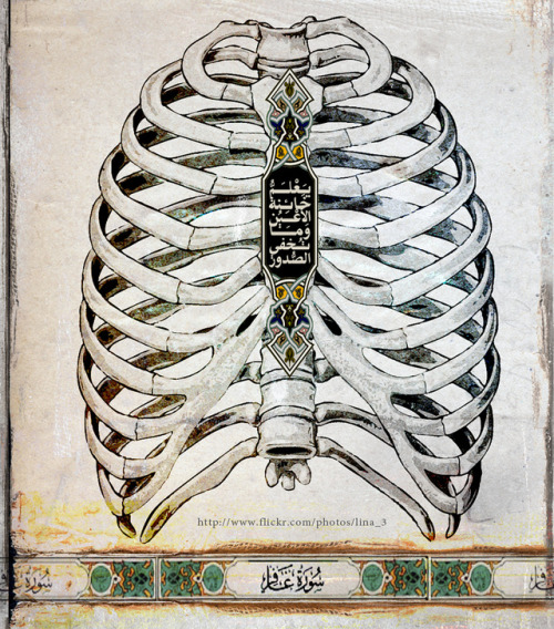 islamic-art-and-quotes:Quran 40:19 on rib cage...