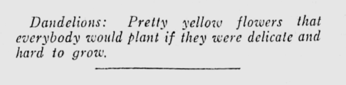 yesterdaysprint:The Minneapolis Star, Minnesota, May 15, 1934