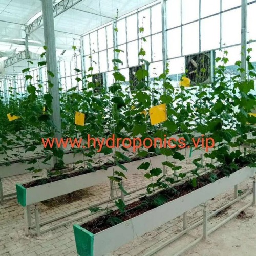 seeding-tray - #Agriculture #hydroponic #hydroponics #grow...