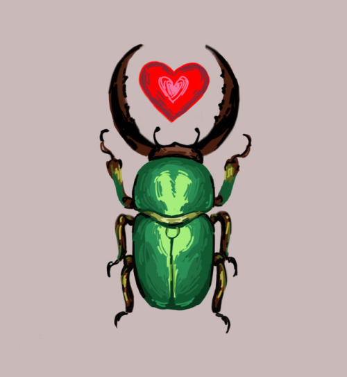 allbugsaregay - lovebug.jpg