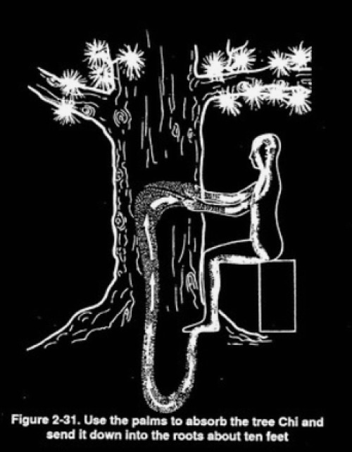 chaosophia218 - Collecting Tree Energy.Taoist Masters observed...