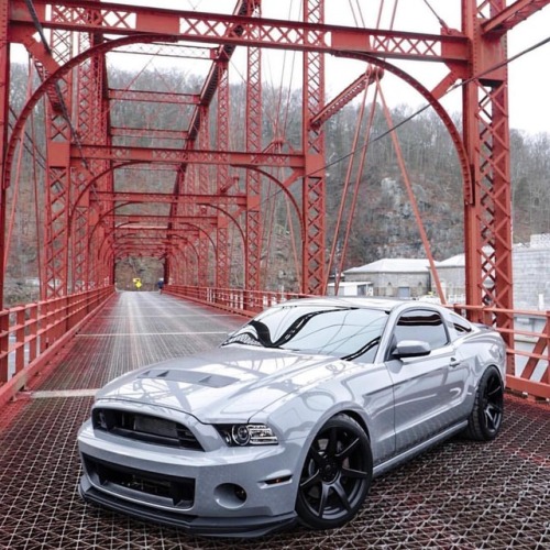 #ford#Mustang#SVT tag–> #American_muscle_mustangs /...
