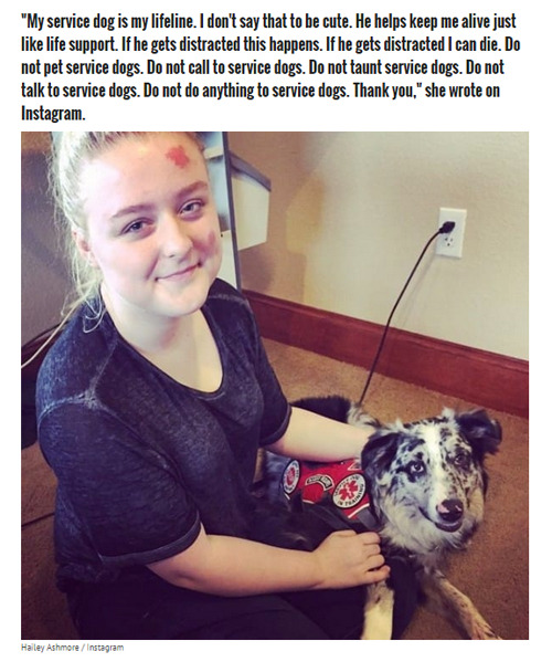 patch-of-shore - beloved-rose - Teen With Epilepsy Has A...