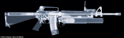 ak4me - ineversurrender - Gun X-rays...