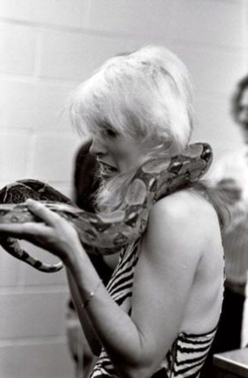 theunderestimator-2:Debbie Harry practicing snake charming on...