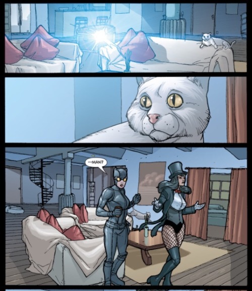 <b>Catwoman #50</b> <I>Backwards Masking