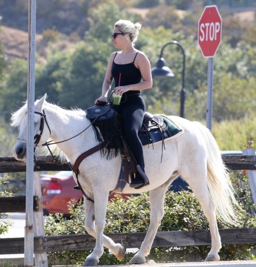 weadoregaga:Lady Gaga picking up a smoothie via a horse, is the...