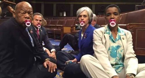 redbloodedamerica - 114th Session Congressional Democrat Class...