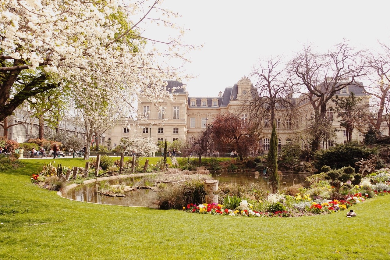 Paris in the springtime…how are you this beautiful??? 🌸 🌸🌸