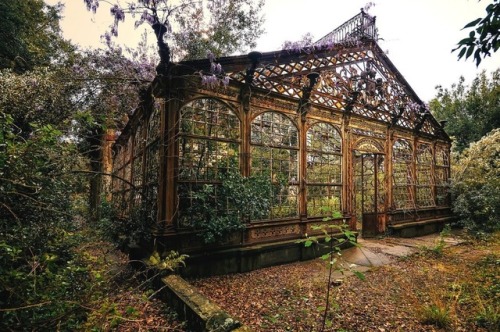abandonedandurbex:Overgrown Victorian greenhouse [1024 x...