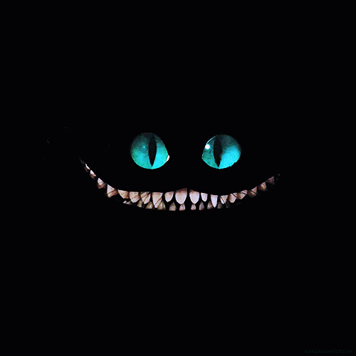 Resultado de imagem para gato preto gif animado