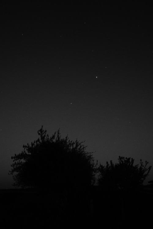 spiritsgambad - Constellation et Circonstance©...