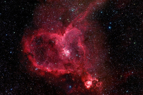the-wolf-and-moon:Heart Nebula