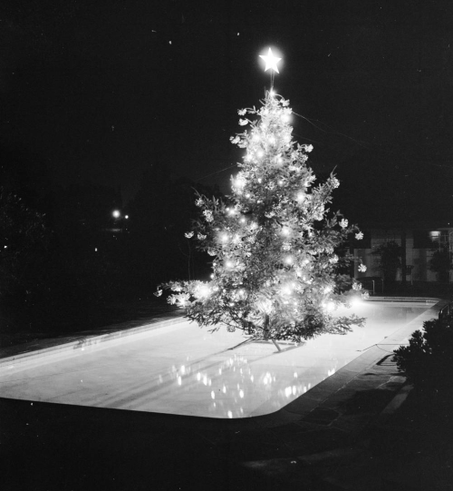 yesterdaysprint - Christmas tree in a swimming pool, Hollywood...