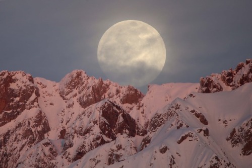 fotojournalismus - Full moon rises behind snow-covered mountains...