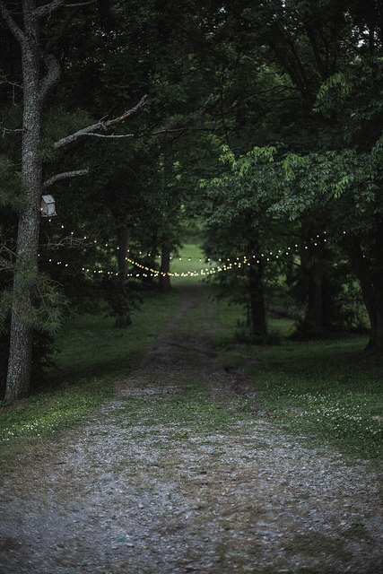 garden lights on Tumblr