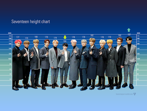 boomclapsvt - A height comparison chart for Seventeen (SVT) in...