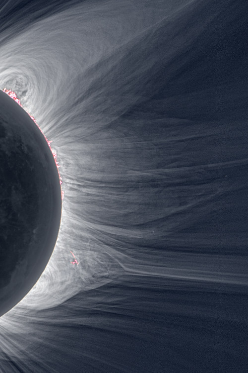 space-pics:Sun’s corona during a solar-eclipse.