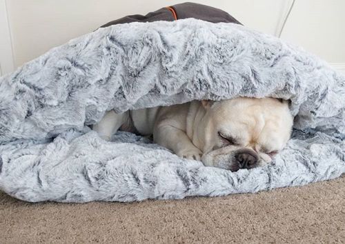 novafrenchie - #TGIFSnuggle bed from @petplaysf (GET 20% off...