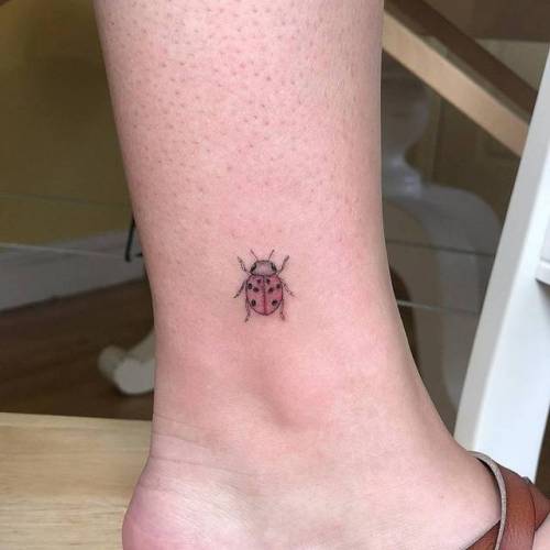 By Joey Hill, done at High Seas Tattoo Parlor, Los Angeles.... insect;small;micro;animal;tiny;joeyhill;ankle;ifttt;little;ladybug;illustrative