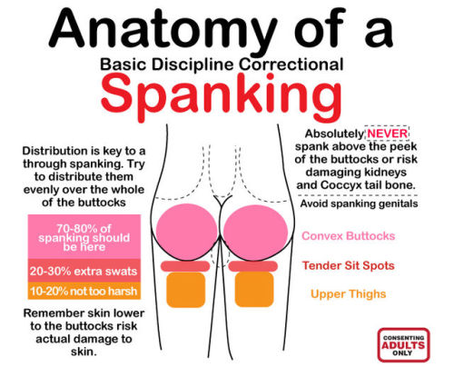 triscerable - Infographic - Anatomy Of A Spanking