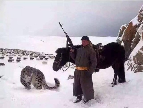 nkjemisin - viralthings - A Mongolian shepherd with an AK47 and a...