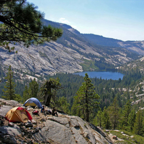 mizar113 - Yosemite camping