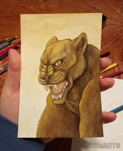 A duo of panthers! I’m particularly happy with how I got the...