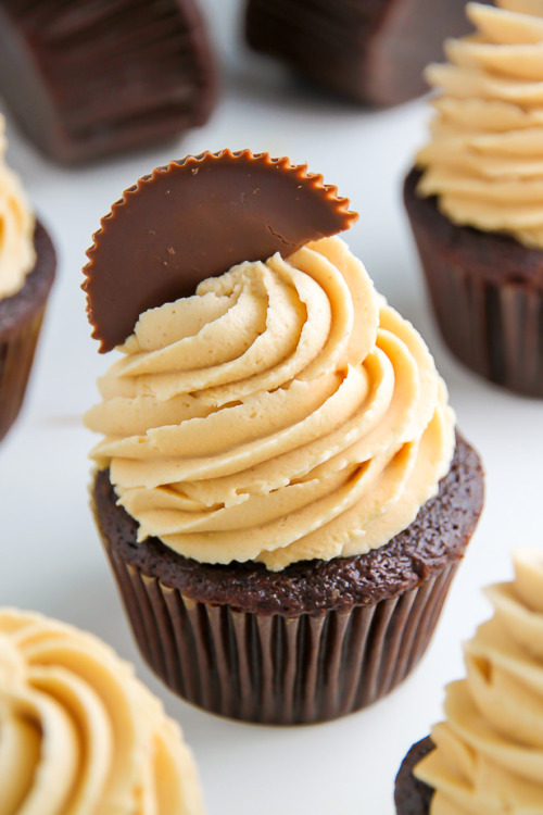 ugly–cupcakes:CHOCOLATE PEANUT BUTTER CUPCAKES