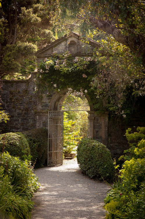 andantegrazioso:Secret garden | Clare...
