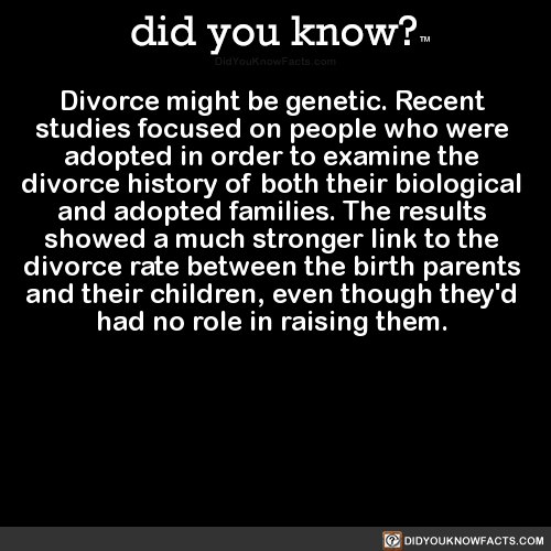 divorce-might-be-genetic-recent-studies-focused