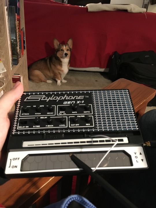 oweeeeendennis:I bought a Stylophone, it’s a lot of fun, but...