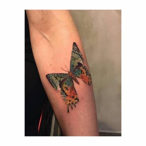 By Cassio Magne Schneider, done at La Puta Madre Tattoo,... insect;small;cassiomagne;butterfly;animal;tiny;ifttt;little;inner forearm;medium size;illustrative