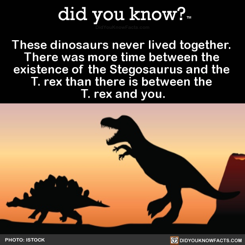 these-dinosaurs-never-lived-together-there-was