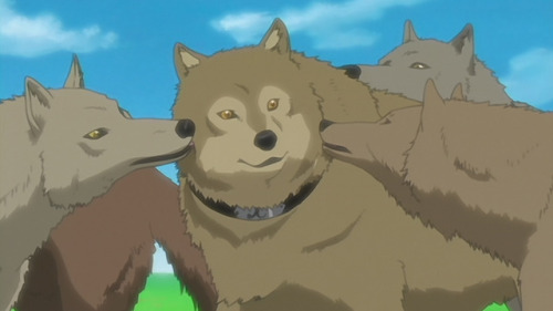 animedogoftheday - Today’s anime dog of the day is - Hige from...