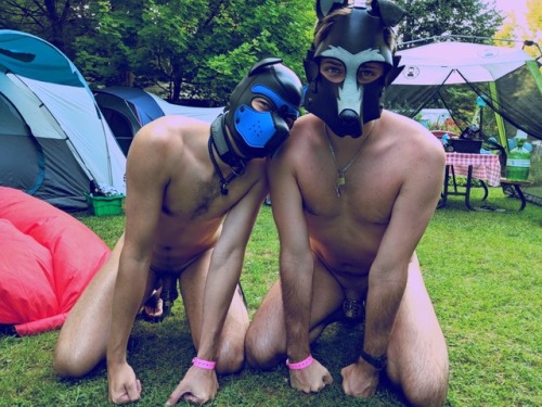 kinkypuppy93 - pupgrey - Locked pupper brother camping heheWoof...