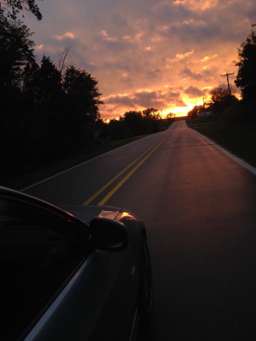 frenchtwig - sunset drives are what I live for