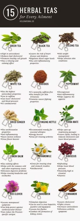 fullyhappyvegan - Some Amazing Teas and their Benefits!