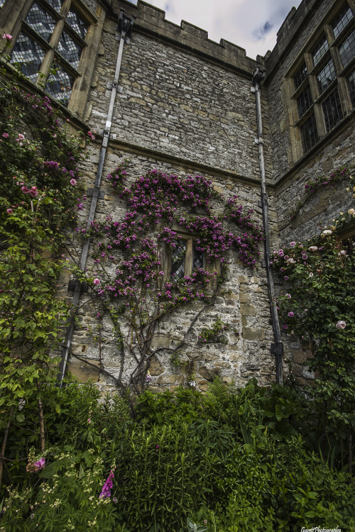 garettphotography - The Flowers of Haddon Hall |...