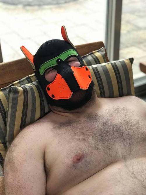 mbearassing - pupzeo - Relaxing pupDid I never reblog this?!...