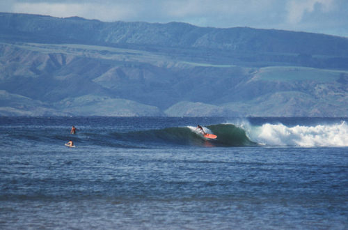spanishguyinghent - Mark Martinson at Honolulu Bay, Maui 1965. ...