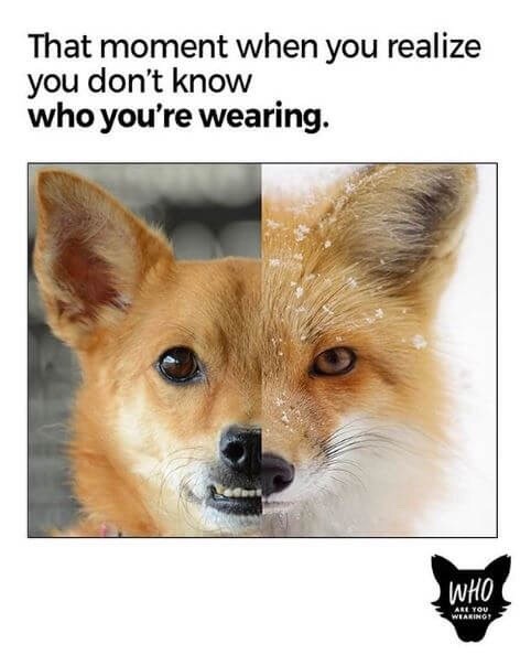 Fur taken from animals in China is often purposefully miss...