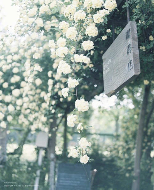 floralls - (by yukki.m)